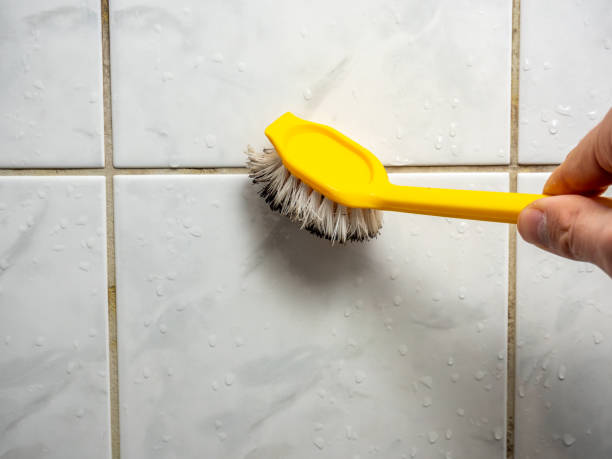 Best Mold Remediation  in Elon, NC