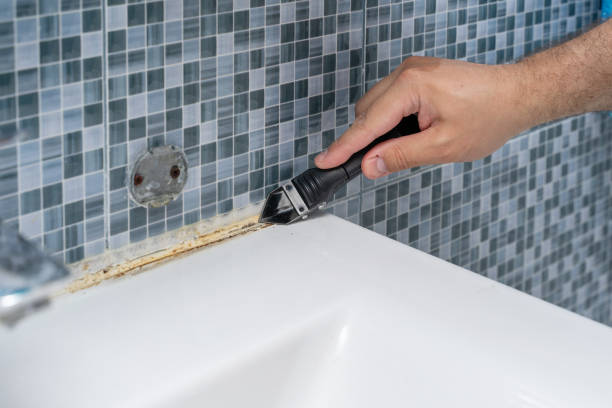 Best Residential Mold Removal  in Elon, NC