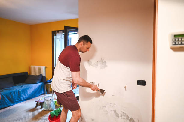 Best Best Mold Removal Companies  in Elon, NC
